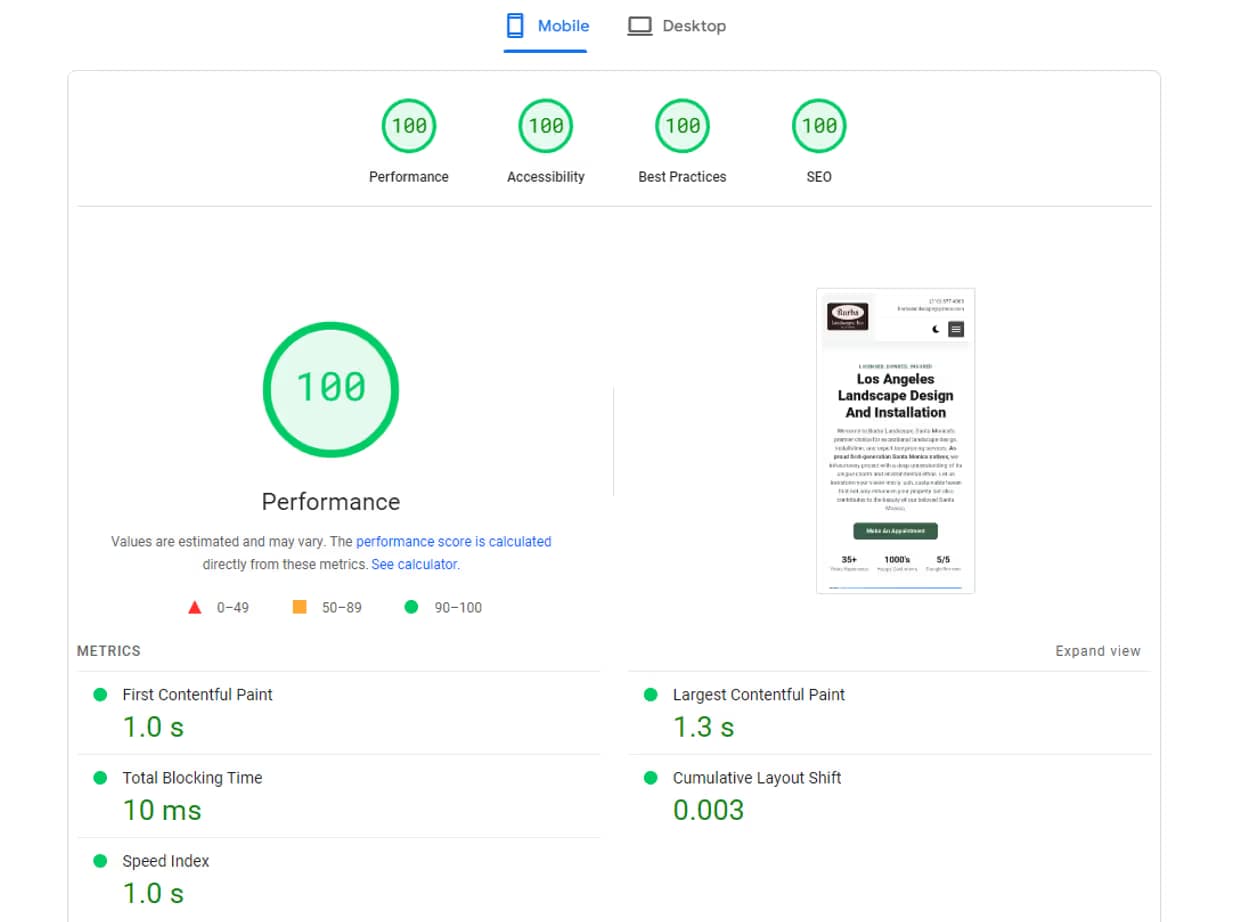 Screenshot showing a perfect 100 Google PageSpeed score for performance